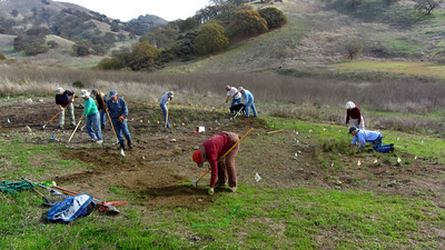 Shell Ridge nursery