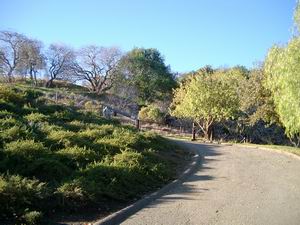 access road to trail