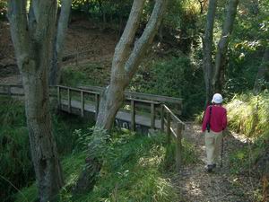 trail bridge