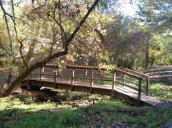 wooden bridge