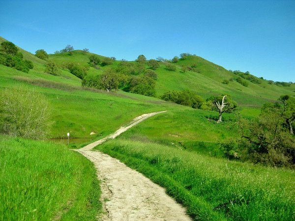 shell ridge trail