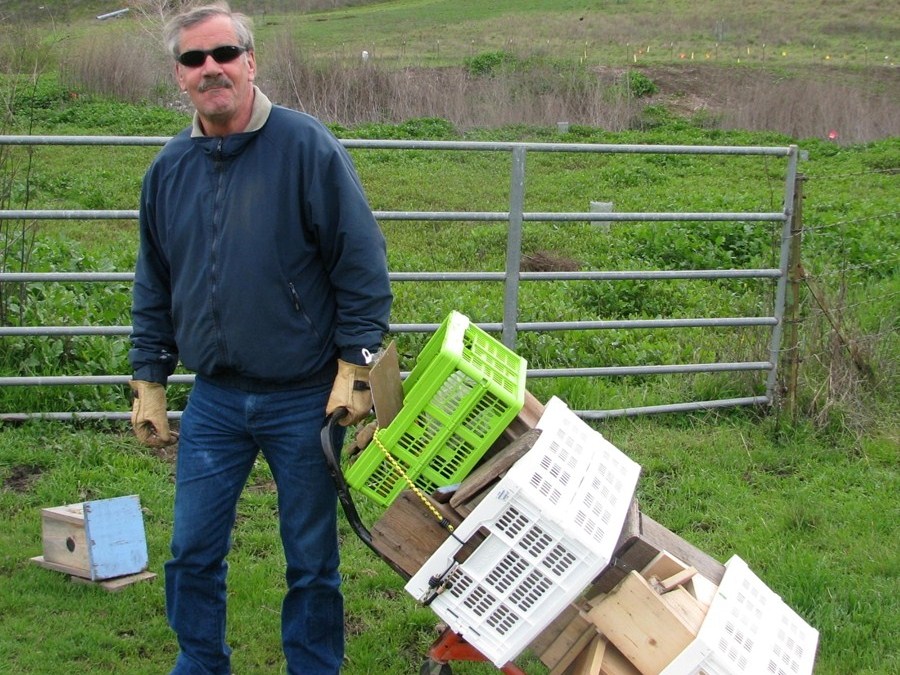 Handcart to carry bluebird boxes