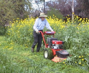 mowing in HF