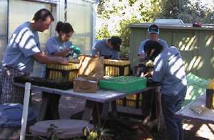 week of caring 2004 volunteers