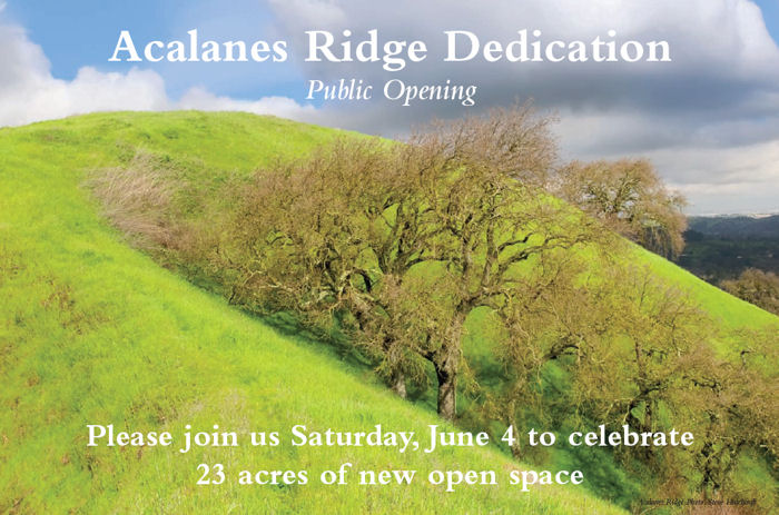 Acalanes Ridge invitation