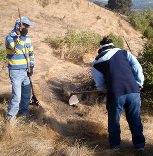 Quail Habitat Trail