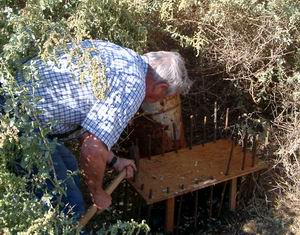 Quail Water Trough