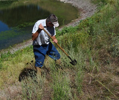 weed removal at Twin Ponds